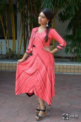 Anu Emmanuel At Majnu Movie Success Meet